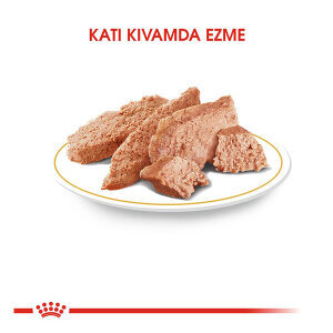 Royal Canin Chihuahua Adult Pouch Köpek Maması 85 Gr - 2