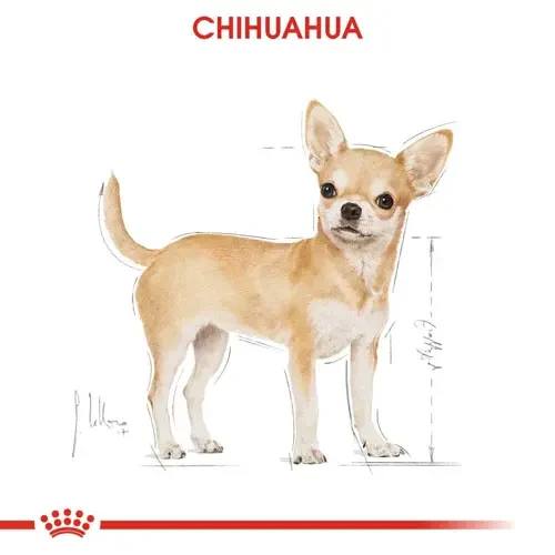 Royal Canin Chihuahua Yaş Maması 85 gr*12 Adet - 2