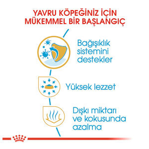 Royal Canin Chihuahua Yavru Köpek Maması 1.5 KG - 4