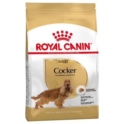 Royal Canin Cocker Köpek Maması 3 KG - 1