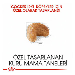Royal Canin Cocker Köpek Maması 3 KG - 2