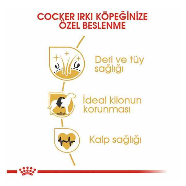 Royal Canin Cocker Köpek Maması 3 KG - 3
