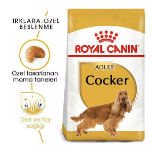 Royal Canin Cocker Köpek Maması 3 KG