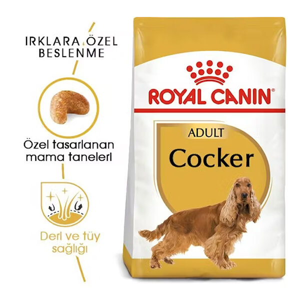 Royal Canin Cocker Köpek Maması 3 KG - 1