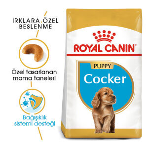 Royal Canin Cocker Yavru Köpek Maması 3 KG