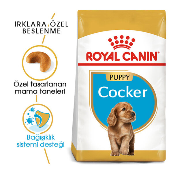 Royal Canin Cocker Yavru Köpek Maması 3 KG - 1