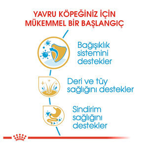 Royal Canin Cocker Yavru Köpek Maması 3 KG - 4