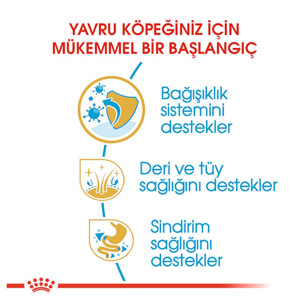 Royal Canin Cocker Yavru Köpek Maması 3 KG - 4