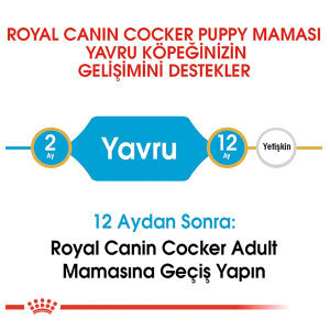 Royal Canin Cocker Yavru Köpek Maması 3 KG - 3