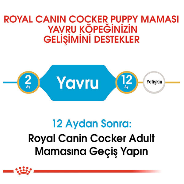 Royal Canin Cocker Yavru Köpek Maması 3 KG - 3