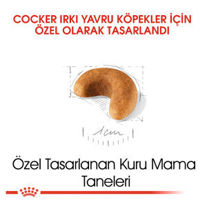 Royal Canin Cocker Yavru Köpek Maması 3 KG - 2