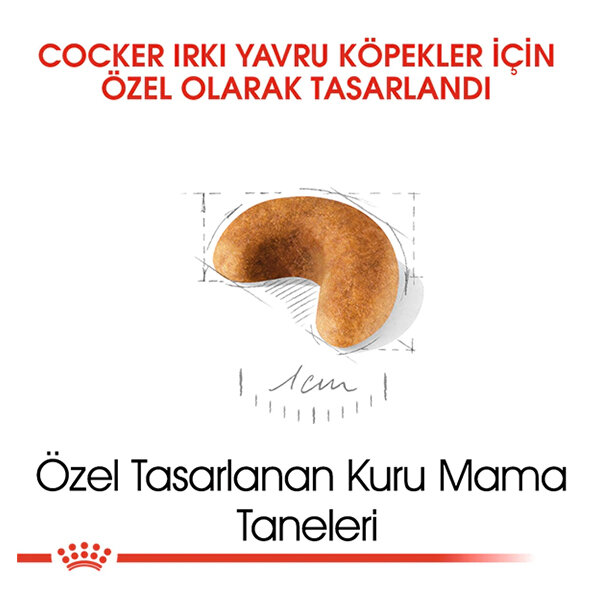 Royal Canin Cocker Yavru Köpek Maması 3 KG - 2