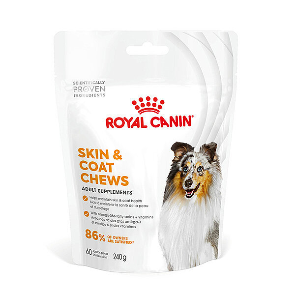 Royal Canin Deri ve Tüy Sağlığı Destekleyici Tamamlayıcı Yetişkin Köpek Ödül Maması 240gr