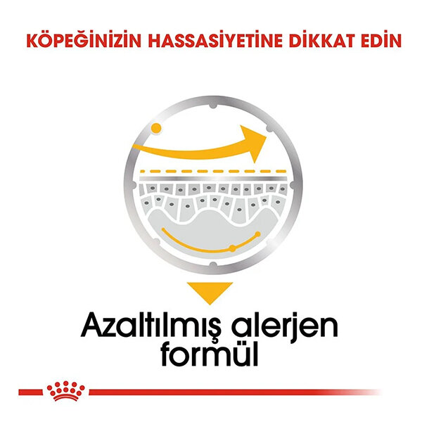 Royal Canin Dermacomfort Deri Besleyici Köpek Yaş Maması 85 GR x 12 Adet - 3