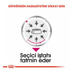 Royal Canin Exigent Köpek Yaş Maması 85 gr  x 12 Adet - 3