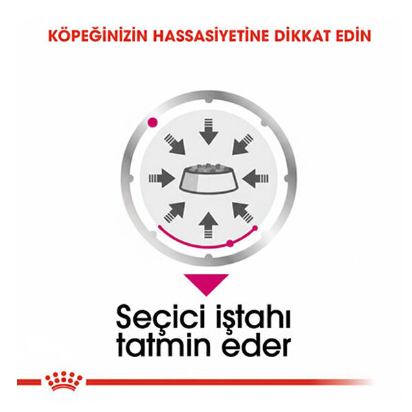Royal Canin Exigent Köpek Yaş Maması 85 gr  x 12 Adet - 3