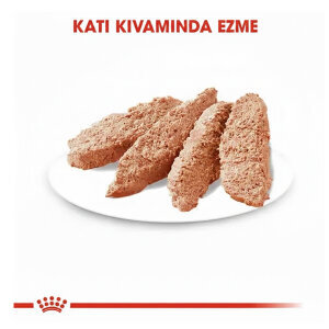 Royal Canin Exigent Köpek Yaş Maması 85 gr  x 12 Adet - 2