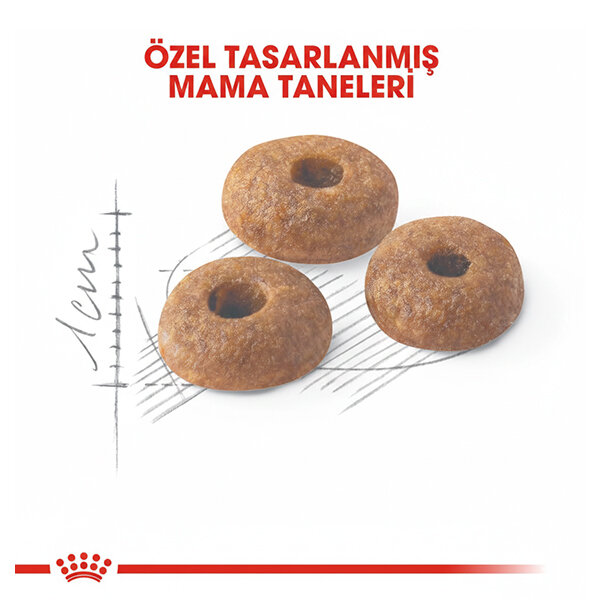 Royal Canin Fit 32 Kedi Maması 15 KG - 2