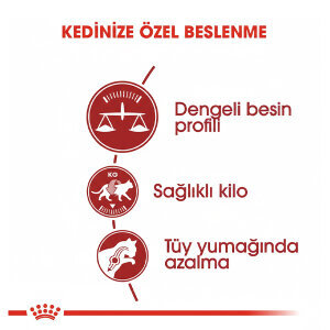 Royal Canin Fit 32 Kedi Maması 4 KG - 3