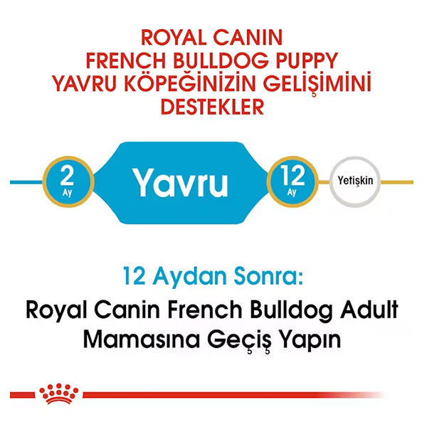 Royal Canin French Bulldog Yavru Köpek Maması 3 KG - 3