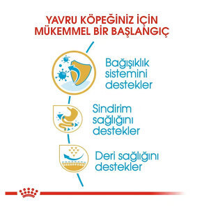 Royal Canin French Bulldog Yavru Köpek Maması 3 KG - 4