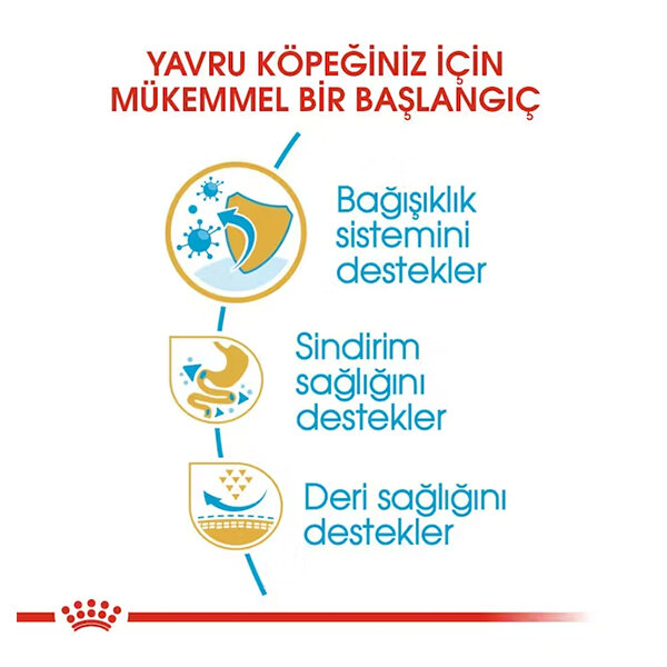 Royal Canin French Bulldog Yavru Köpek Maması 3 KG - 4