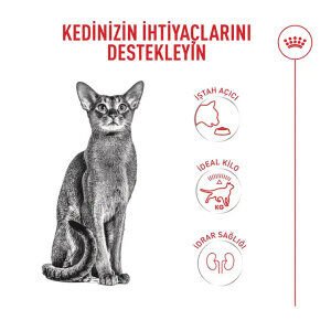 Royal Canin Fussy Seçici Kediler İçin Kuru Kedi Maması 10 kg - 4