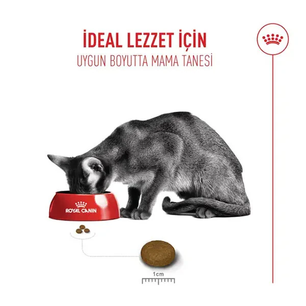 Royal Canin Fussy Seçici Kediler İçin Kuru Kedi Maması 2 kg - 5