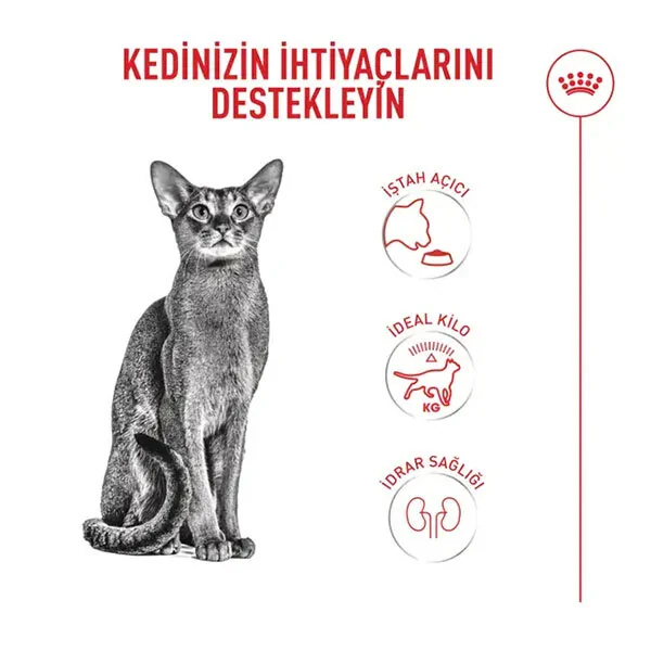 Royal Canin Fussy Seçici Kediler İçin Kuru Kedi Maması 4 kg - 3