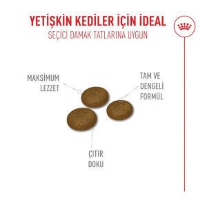 Royal Canin Fussy Seçici Kediler İçin Kuru Kedi Maması 4 kg - 4
