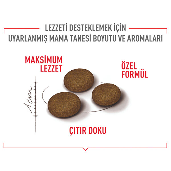 Royal Canin Fussy Seçici Kediler İçin Kuru Kedi Maması 4 kg - 2