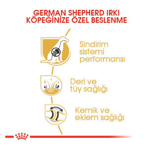 Royal Canin German Shepherd Köpek Maması 11 KG - 3