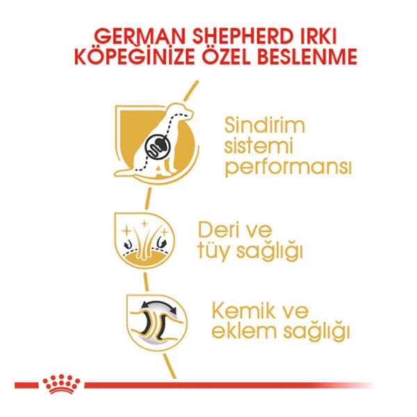Royal Canin German Shepherd Köpek Maması 11 KG - 3