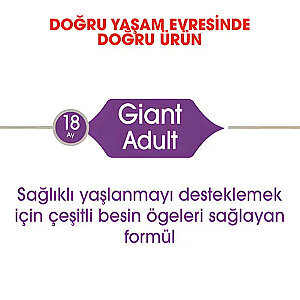 Royal Canin Giant Adult Dev Irk Köpek Mamasi 15 Kg - 4