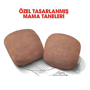 Royal Canin Giant Adult Dev Irk Köpek Mamasi 15 Kg - 2