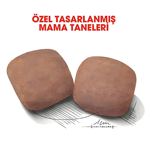 Royal Canin Giant Adult Dev Irk Köpek Mamasi 15 Kg - 2