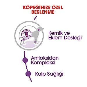 Royal Canin Giant Adult Dev Irk Köpek Mamasi 15 Kg - 3