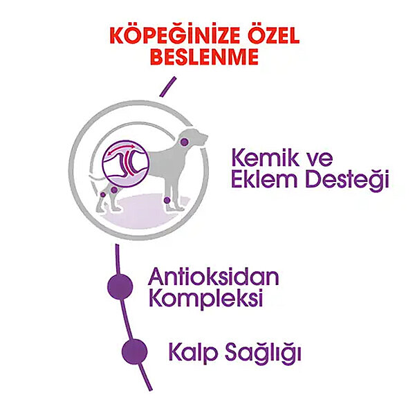 Royal Canin Giant Adult Dev Irk Köpek Mamasi 15 Kg - 3