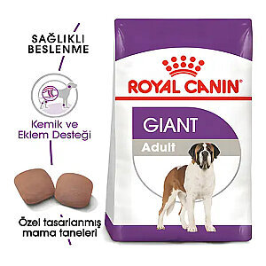 Royal Canin Giant Adult Dev Irk Köpek Mamasi 15 Kg
