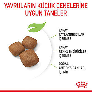 Royal Canin Giant Junior Dev Irk Yavru Köpek Mamasi 15 kg - 2