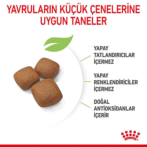 Royal Canin Giant Junior Dev Irk Yavru Köpek Mamasi 15 kg - 2