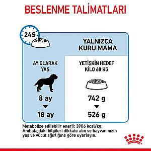 Royal Canin Giant Junior Dev Irk Yavru Köpek Mamasi 15 kg - 3