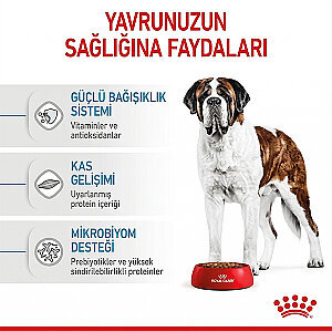 Royal Canin Giant Junior Dev Irk Yavru Köpek Mamasi 15 kg - 5