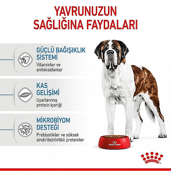 Royal Canin Giant Junior Dev Irk Yavru Köpek Mamasi 15 kg - 5