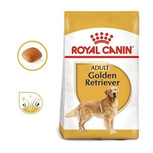 Royal Canin Golden Retriever Köpek Maması 12 KG - 2