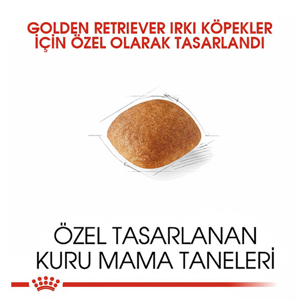 Royal Canin Golden Retriever Köpek Maması 12 KG - 2