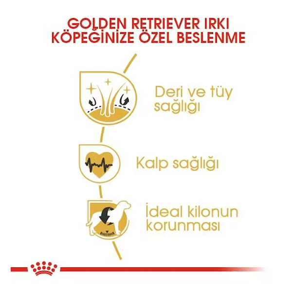 Royal Canin Golden Retriever Köpek Maması 12 KG - 3