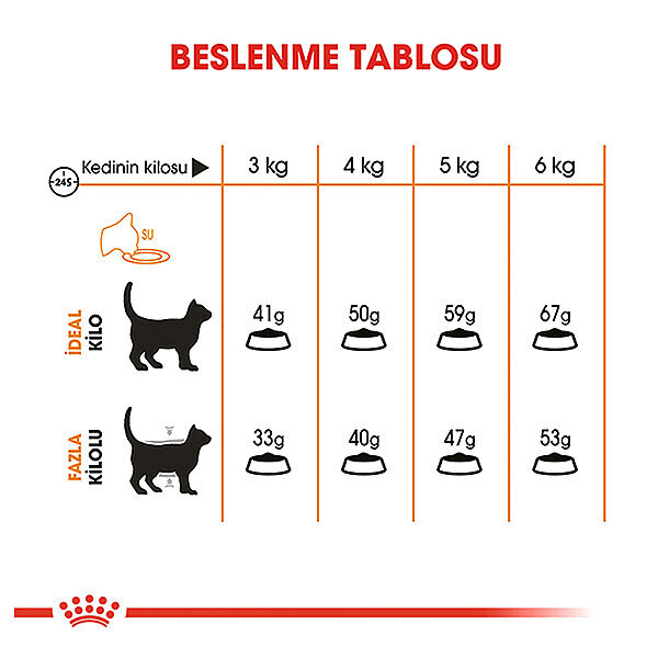 Royal Canin Hair Skin Uzun Tüylü Kedi Maması 4 KG - 4