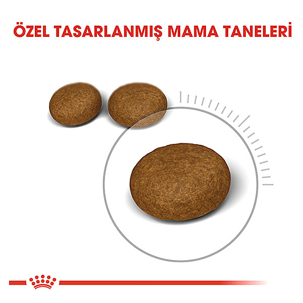 Royal Canin Hair Skin Uzun Tüylü Kedi Maması 4 KG - 2