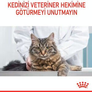 Royal Canin Hair&Skin Hassas Tüylü Kedi Maması 10 kg - 4